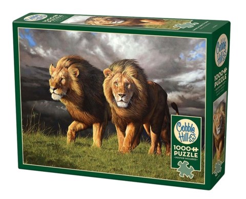 PUZZLE 1000 ZBLIŻA SIĘ BURZA