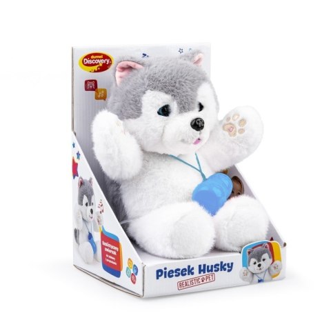 PIESEK HUSKY DUMEL DISCOVERY DUMEL