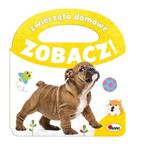Zobacz zwierzęta domowe AWM WYDAWNICTWO AWM WYDAWNICTWO